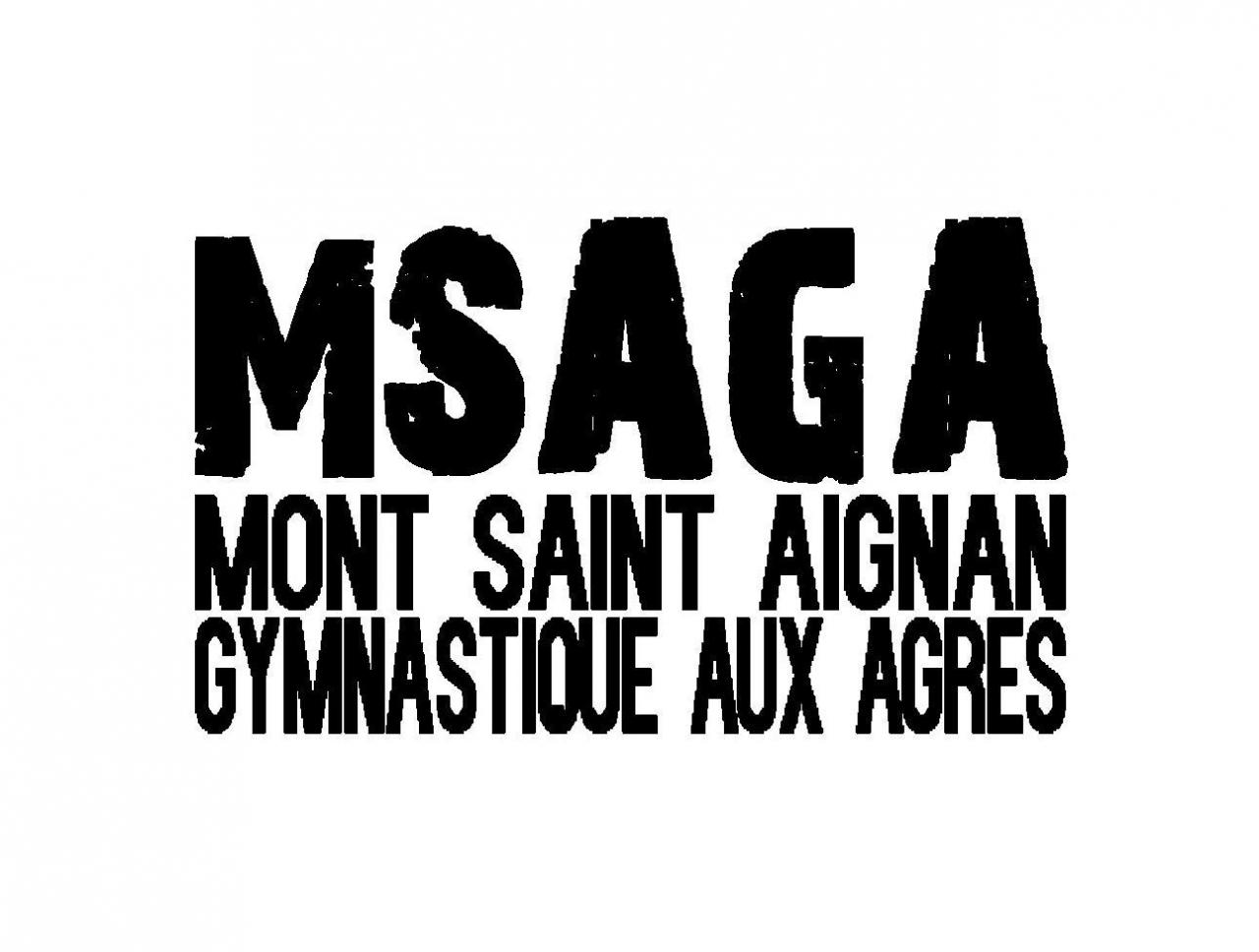 MSA Gymnastique aux Agrès