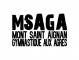 MSA Gymnastique aux Agrès